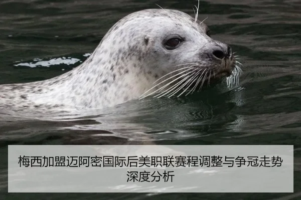 梅西加盟迈阿密国际后美职联赛程调整与争冠走势深度分析
